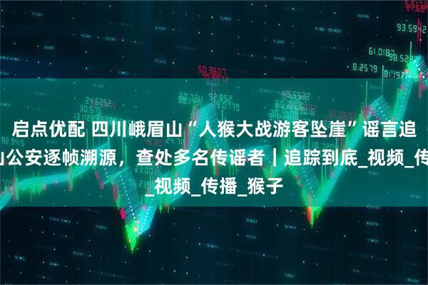 启点优配 四川峨眉山“人猴大战游客坠崖”谣言追踪：乐山公安逐帧溯源，查处多名传谣者｜追踪到底_视频_传播_猴子