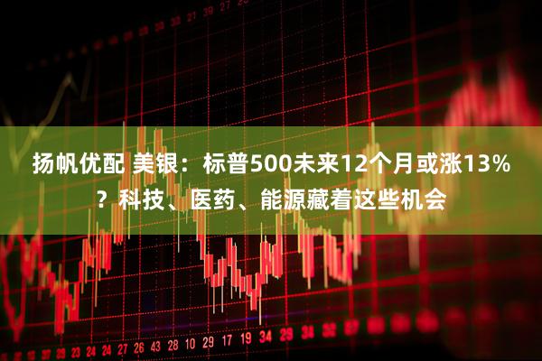扬帆优配 美银：标普500未来12个月或涨13%？科技、医药、能源藏着这些机会